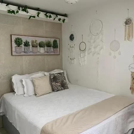Apartasuites Con Vista Al Mar *
